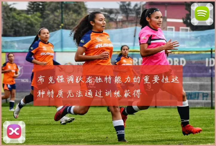 布克强调狄龙独特能力的重要性这种特质无法通过训练获得