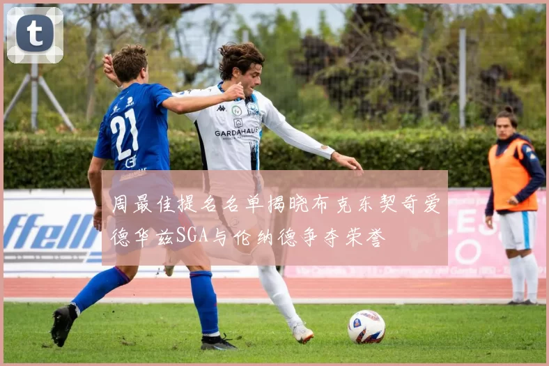 周最佳提名名单揭晓布克东契奇爱德华兹SGA与伦纳德争夺荣誉