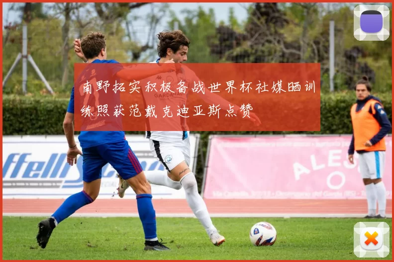 南野拓实积极备战世界杯社媒晒训练照获范戴克迪亚斯点赞