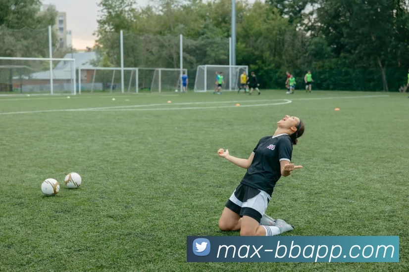 BB体育APP 封面图